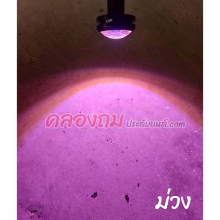 ไฟตาแมว LED ไฟเลี้ยวแต่ง 12V สำหรับมอเตอร์ไซค์และรถยนต์ (1 คู่)